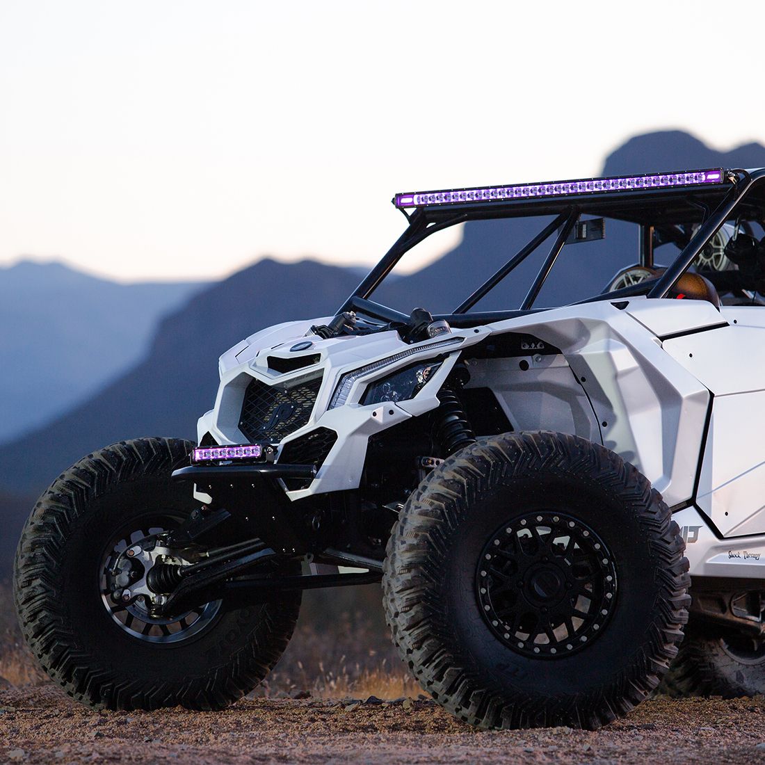 RIGID Radiance+ 30" Light Bar - RGBW